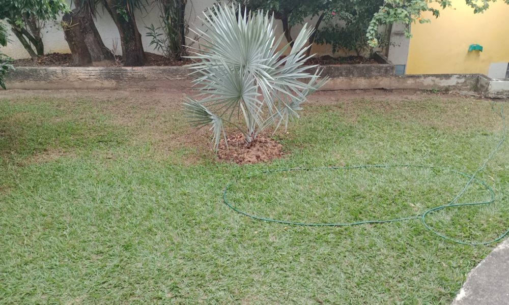 IMG-20250806-WA0132