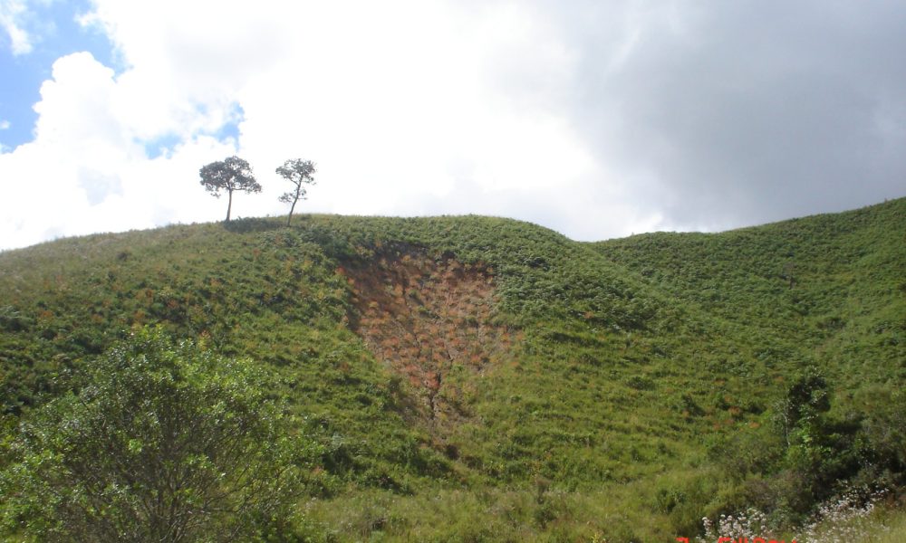 IMG-20250817-WA0028