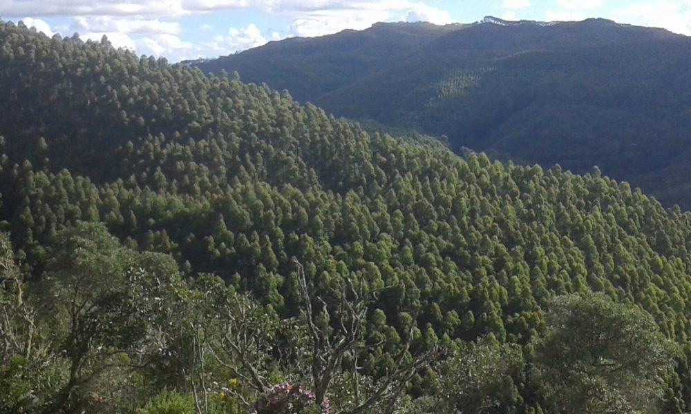 IMG-20250817-WA0029