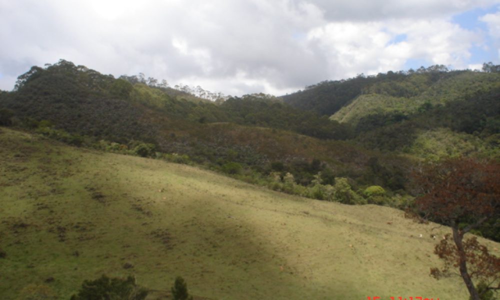 IMG-20250817-WA0032