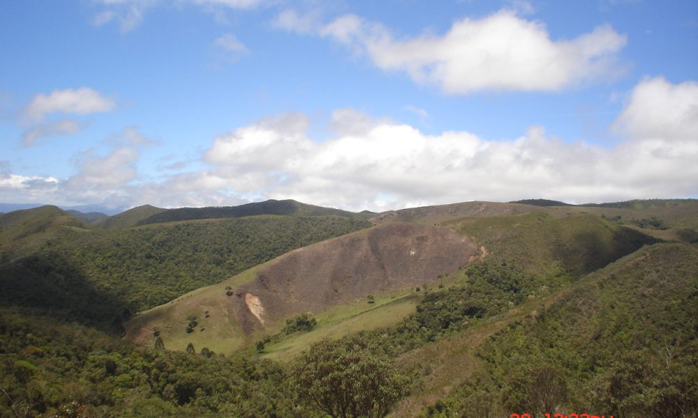 IMG-20250817-WA0040