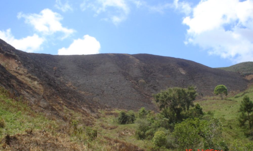 IMG-20250817-WA0042