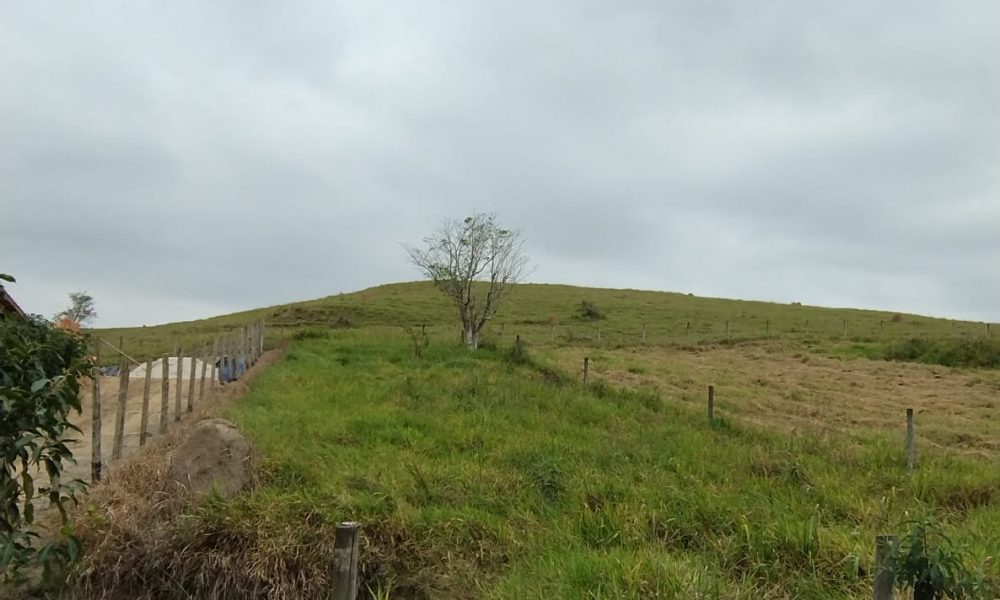 IMG-20251217-WA0066