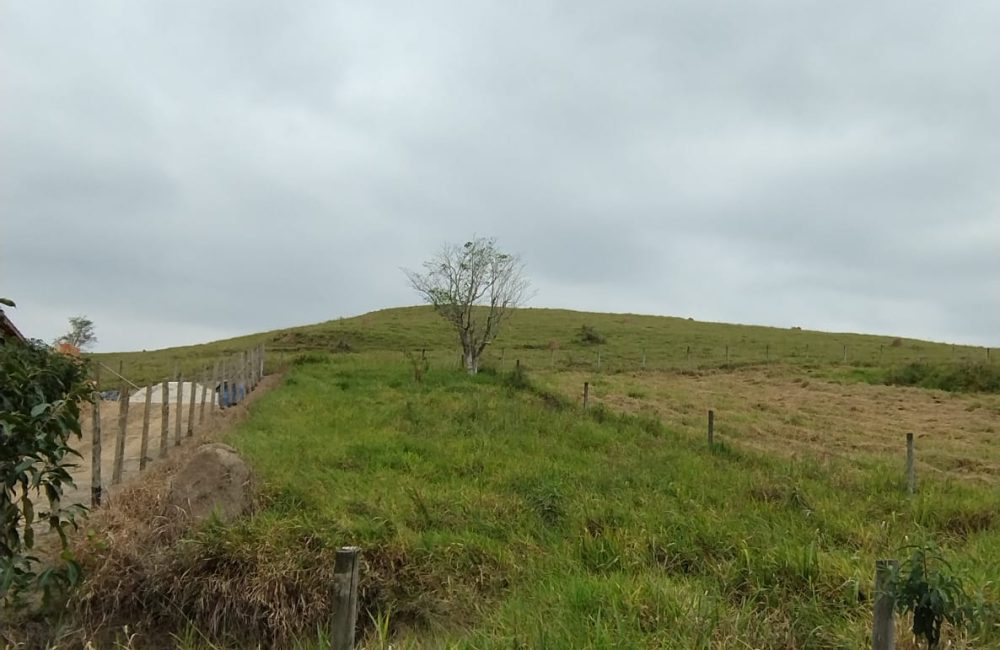 IMG-20251217-WA0066