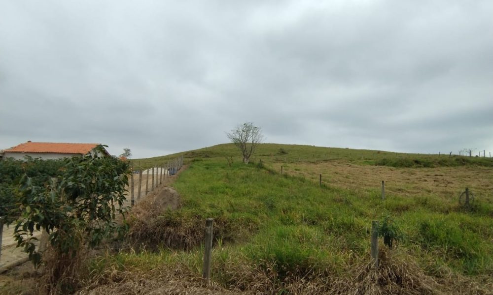 IMG-20251217-WA0067