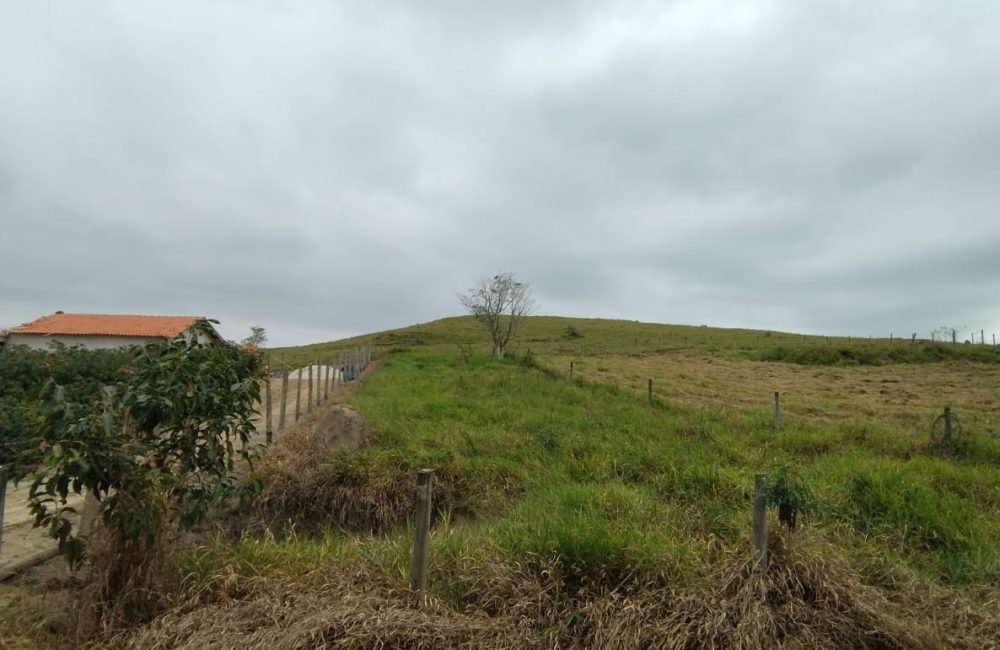 IMG-20251217-WA0067