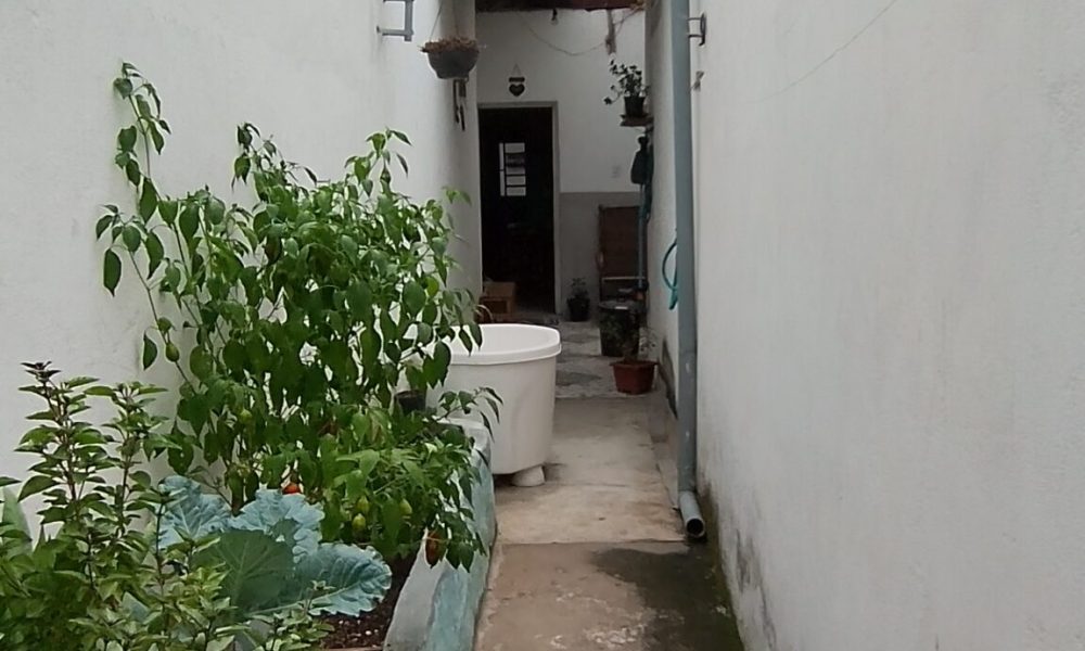 IMG_20260116_113021_hdr